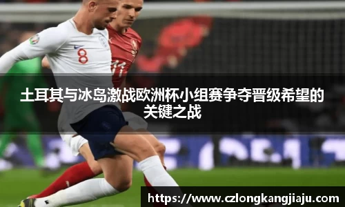 bwin必赢土耳其与冰岛激战欧洲杯小组赛争夺晋级希望的关键之战